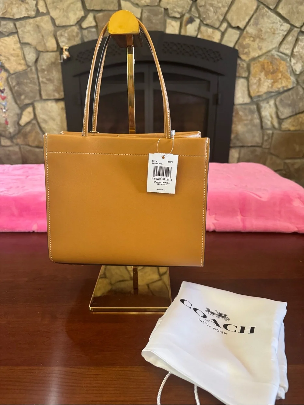 NWT Coach Glove-Tanned Leather Scenic Tote - Central Park Bridge & River. Rare - Picture 2 of 8